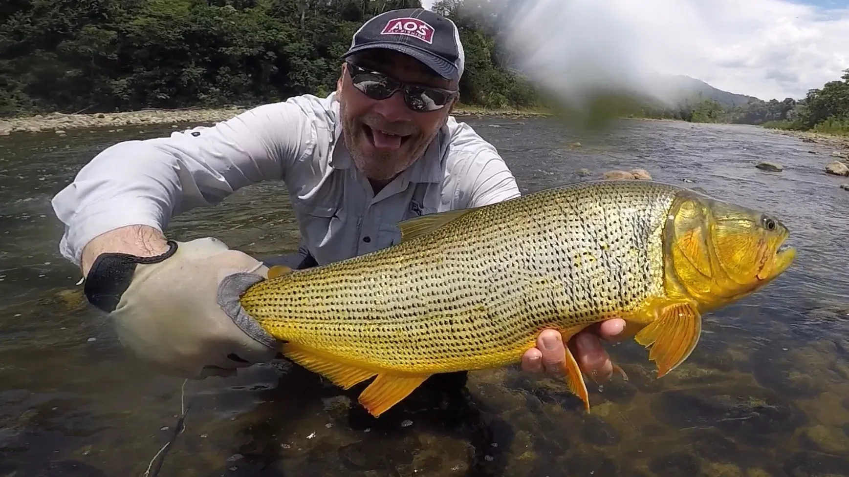 Golden Dorado β Bolivia