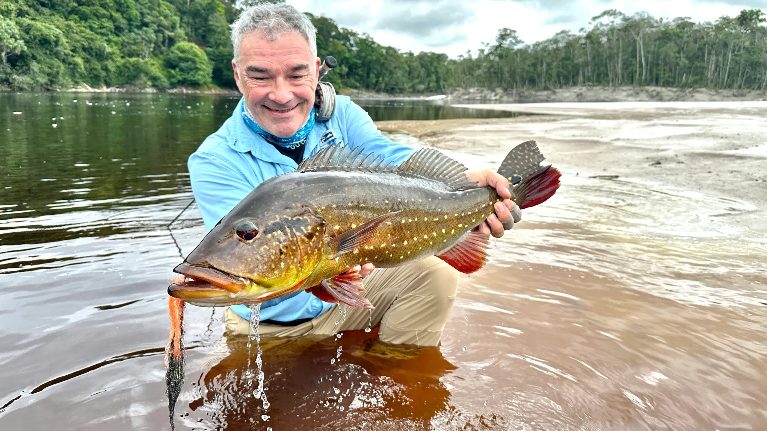peacock bass β brazil