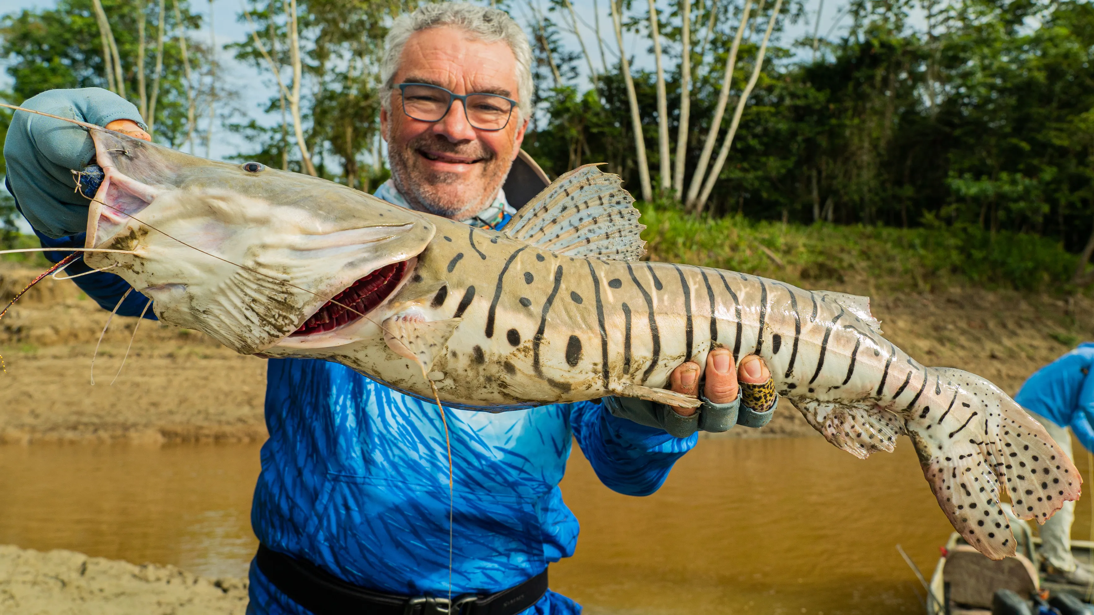 AMAZONAS - CATFISH