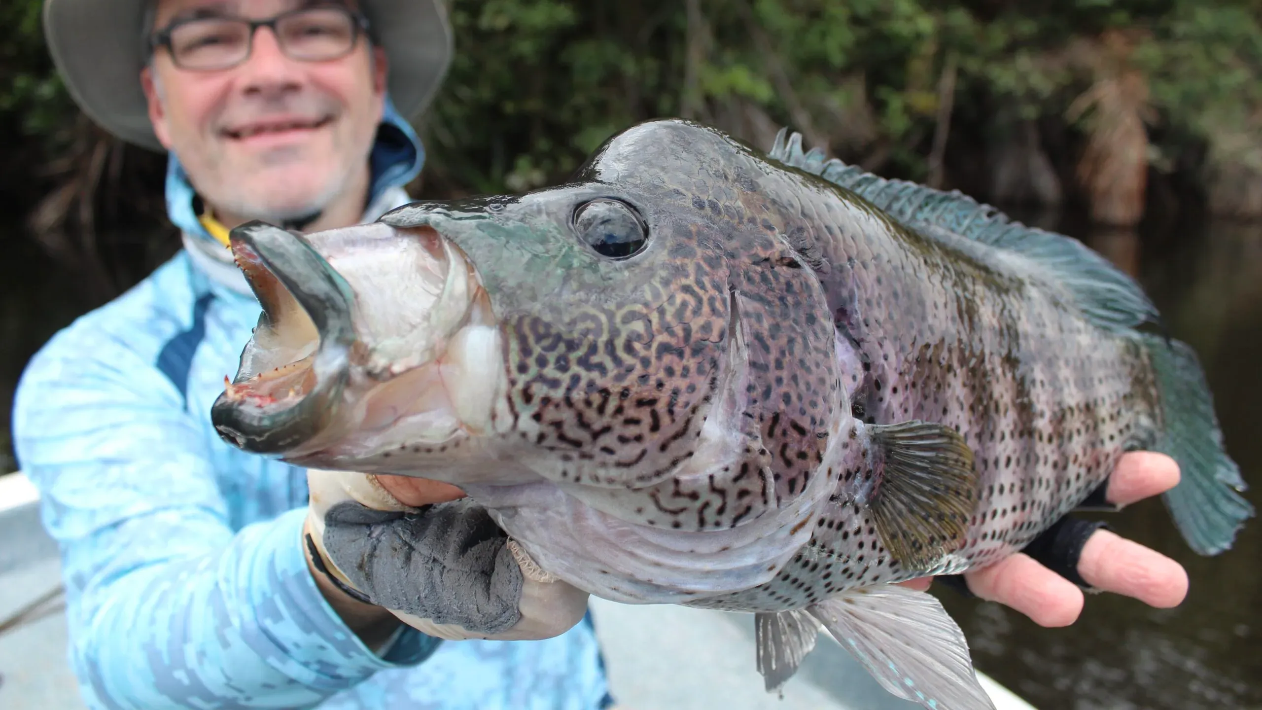 rainbow bass β nicaragua